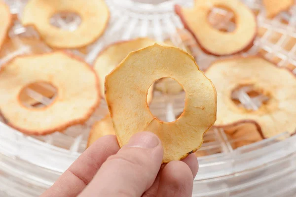 Anneau pomme après séchage — Photo