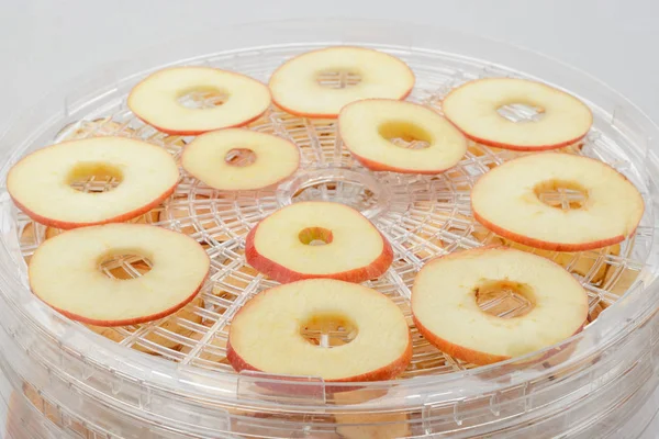 Fresh apple slices in dryer — Stock Photo, Image
