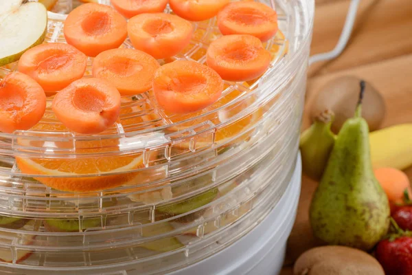 Apricot slices in a dehydrator — Stock Photo, Image