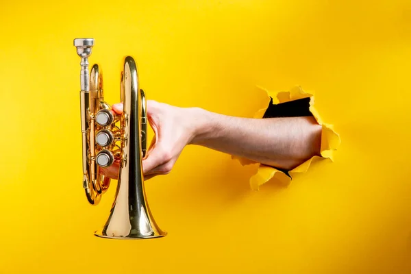 Mão mostrando uma trombeta de bolso através de um buraco rasgado — Fotografia de Stock