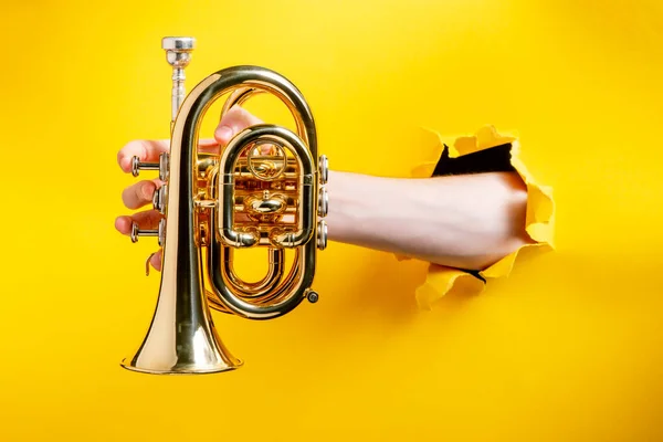 Mão segurando uma mini trompete através de papel amarelo rasgado fundo — Fotografia de Stock