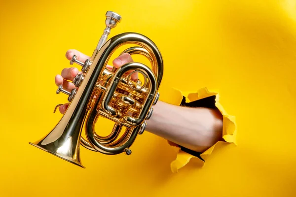 Mão tocando uma trombeta de bolso através de papel amarelo rasgado fundo — Fotografia de Stock