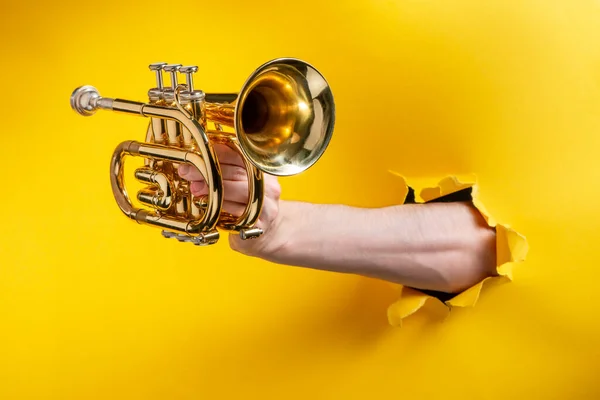 Mão mostrando uma trombeta de bolso através de um buraco rasgado no fundo de papel amarelo — Fotografia de Stock