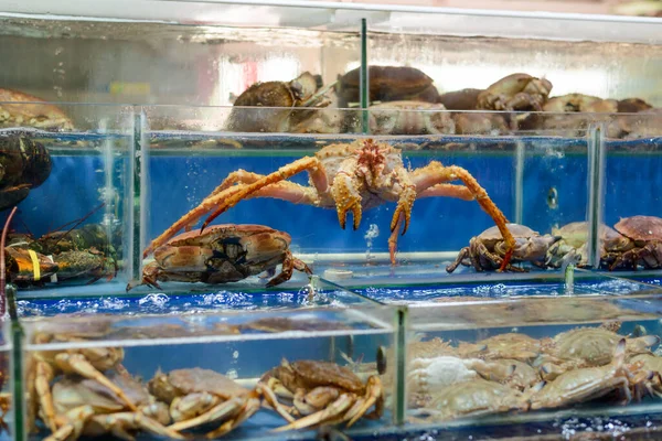 Cangrejos pequeños y enormes en tanques con agua —  Fotos de Stock