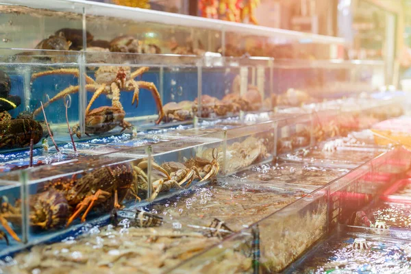 Fila de tanques con cangrejos en un supermercado chino —  Fotos de Stock