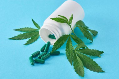 Marihuana yaprakları, beyaz bir şişe ve mavi arka planda yeşil kapsüller.