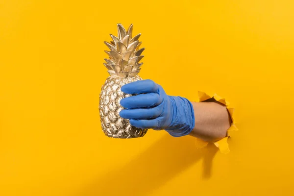 Mão em uma luva de látex segurando um abacaxi dourado através da parede amarela rasgada — Fotografia de Stock