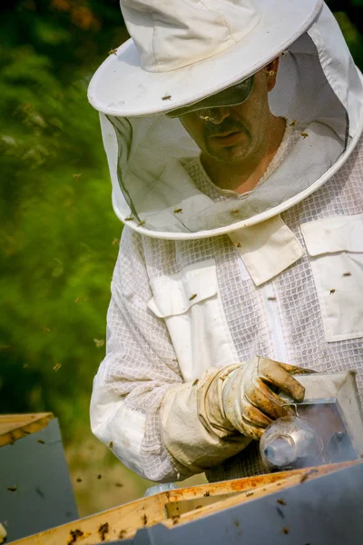 Beekeeper Controlling Colony Bees Protective Uniform — Stock Photo, Image
