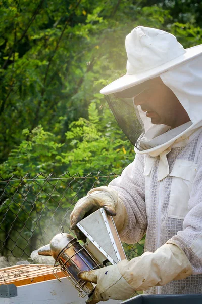 식민지와 꿀벌을 제어하는 양봉가 — 스톡 사진