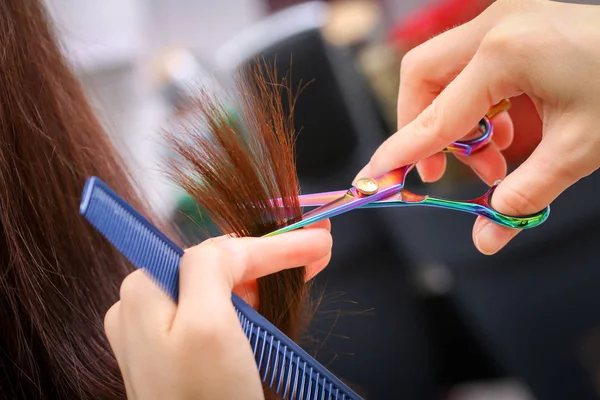 Close-up de um cabeleireiro cortando o cabelo de uma mulher em uma beleza — Fotografia de Stock