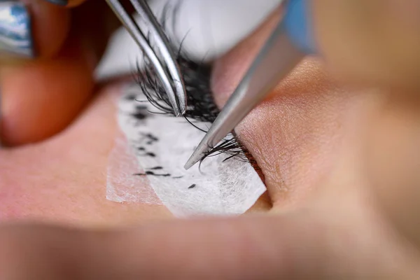 Wimpernverlängerungsverfahren, weibliches Auge mit langen Wimpern — Stockfoto