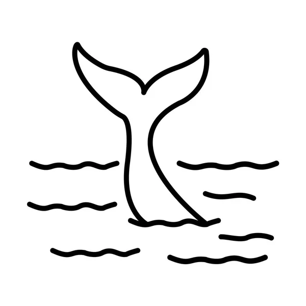 เวกเตอร ไอคอนแบบแยกหางวาฬ — ภาพเวกเตอร์สต็อก