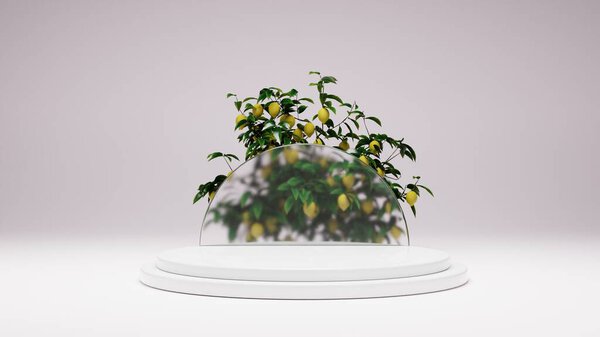 Minimalist Lemon Tree Podium White Color Background Concept Render Illustration Stock Photo