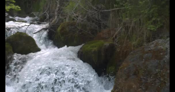 El agua rueda sobre rocas cubiertas de musgo húmedo. Asiático joven hombre lava su cara . — Vídeo de stock