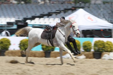 Istanbul, Türkiye - 12 Mayıs 2018: Binicilik gösterisi sırasında Etnospor Kültür Festivali