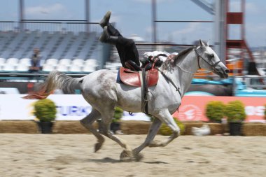 Istanbul, Türkiye - 12 Mayıs 2018: Binicilik gösterisi sırasında Etnospor Kültür Festivali