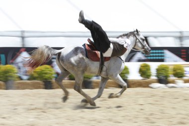 Istanbul, Türkiye - 12 Mayıs 2018: Binicilik gösterisi sırasında Etnospor Kültür Festivali