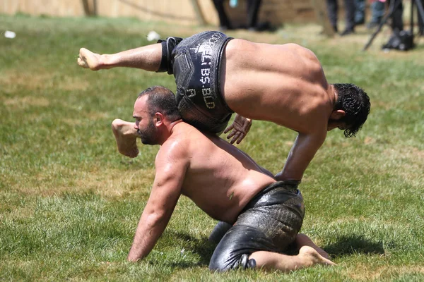 Istanbul, Türkiye - 12 Mayıs 2018: Petrol güreşçiler Etnospor Kültür Festivali sırasında rekabet. Yağlı güreş yağlı güreş olarak da bilinir Türk geleneksel spor dalıdır.