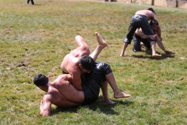 Istanbul, Türkiye - 12 Mayıs 2018: Petrol güreşçiler Etnospor Kültür Festivali sırasında rekabet. Yağlı güreş yağlı güreş olarak da bilinir Türk geleneksel spor dalıdır.