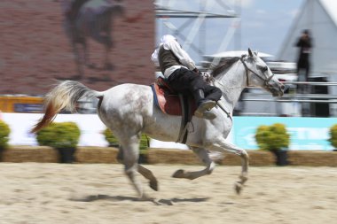 Istanbul, Türkiye - 12 Mayıs 2018: Binicilik gösterisi sırasında Etnospor Kültür Festivali