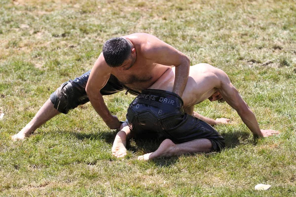 Istanbul, Türkiye - 12 Mayıs 2018: Petrol güreşçiler Etnospor Kültür Festivali sırasında rekabet. Yağlı güreş yağlı güreş olarak da bilinir Türk geleneksel spor dalıdır.