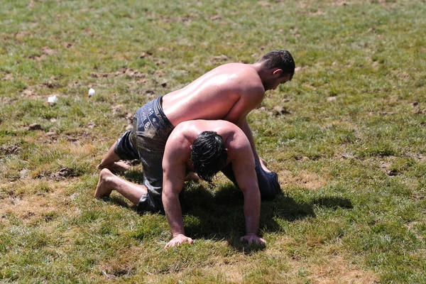 Istanbul, Türkiye - 12 Mayıs 2018: Petrol güreşçiler Etnospor Kültür Festivali sırasında rekabet. Yağlı güreş yağlı güreş olarak da bilinir Türk geleneksel spor dalıdır.