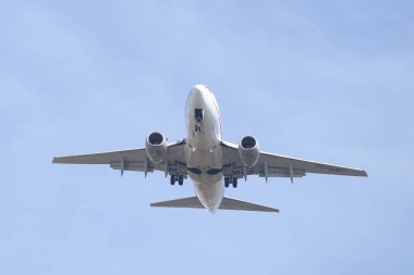Istanbul, Türkiye - 10 Mart 2018: Air Algerie Boeing 737 - 6d 6 (Cn 30211) Istanbul Atatürk Havaalanına iniş. Cezayir Ulusal havayoludur 59 filo büyüklüğü ve 69 hedefleri Air Algerie