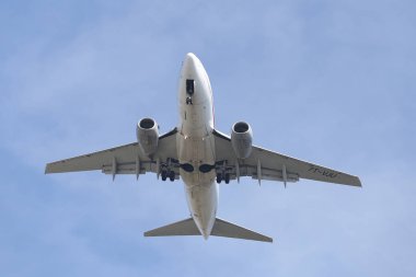 Istanbul, Türkiye - 10 Mart 2018: Air Algerie Boeing 737 - 6d 6 (Cn 30211) Istanbul Atatürk Havaalanına iniş. Cezayir Ulusal havayoludur 59 filo büyüklüğü ve 69 hedefleri Air Algerie