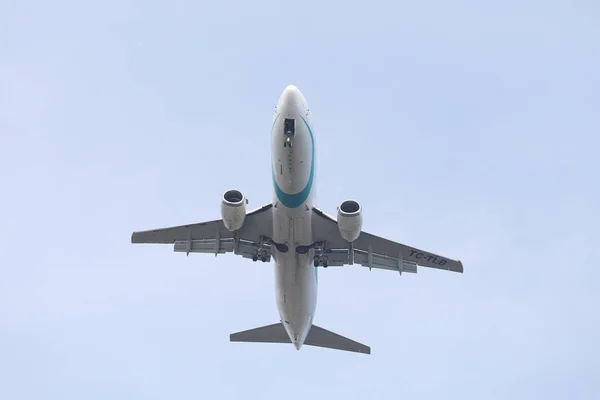 tailwind airlines flotte