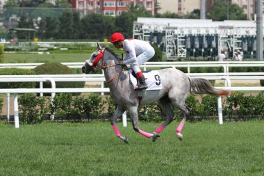 Istanbul, Türkiye - 01 Temmuz 2018: Tanımlanamayan binici rekabet çalıştırmada Istanbul Horce yarışta, Veliefendi yarış pisti.