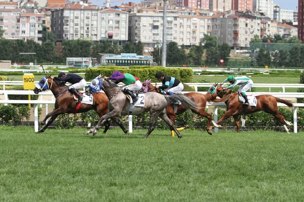 Isztambul Törökország 2018 Július Lovasok Versenyt Futni Isztambuli Horce Verseny — Stock Fotó