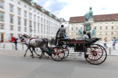 Vienna, Avusturya - 26 Ağustos 2018: At arabasıyla Hofburg Sarayı'turne insanlar