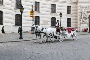 Vienna, Avusturya - 20 Ağustos 2018: çizilmiş at arabası Hofburg Sarayı önünde