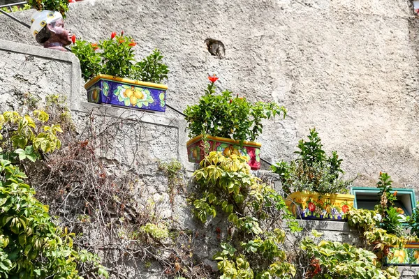Kwiaty Positano Ulice Neapol Włochy — Zdjęcie stockowe