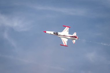 Istanbul Teknofest 'te Türk yıldızları hava akrobasi gösterisi