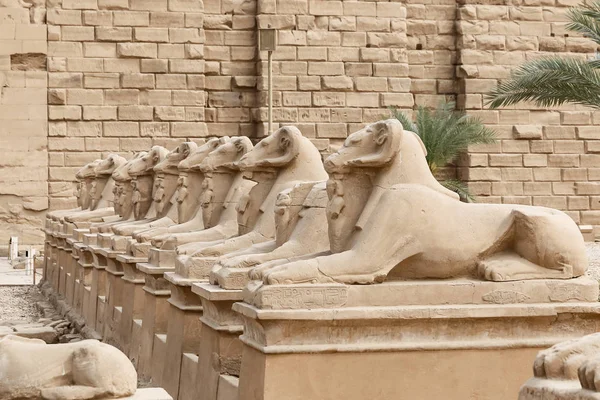 Esfinges en el Templo de Karnak, Luxor, Egipto — Foto de Stock