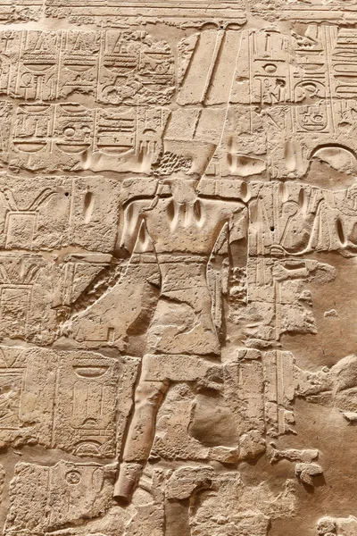 Egyptiska hieroglyfer i Luxor Temple, Luxor, Egypten — Stockfoto