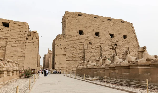카르나크 사원의 스핑크스, 룩소르, 이집트 — 스톡 사진