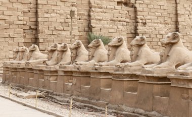 Karnak Tapınağı'ndaki Sfenksler, Luxor, Mısır