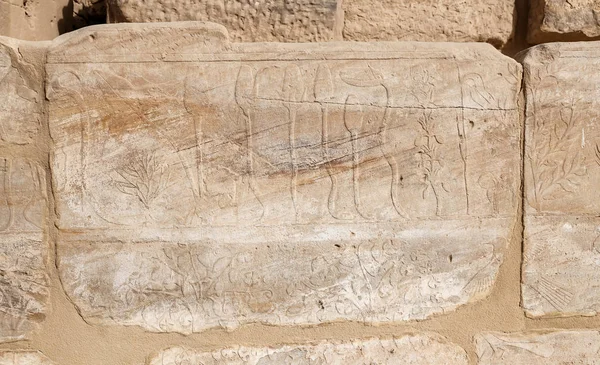 Иероглифы в храме Карнака, Луксор, Египет — стоковое фото