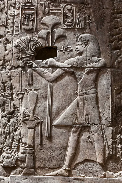 Egyptské hieroglyfy v Luxor Temple, Luxor, Egypt — Stock fotografie