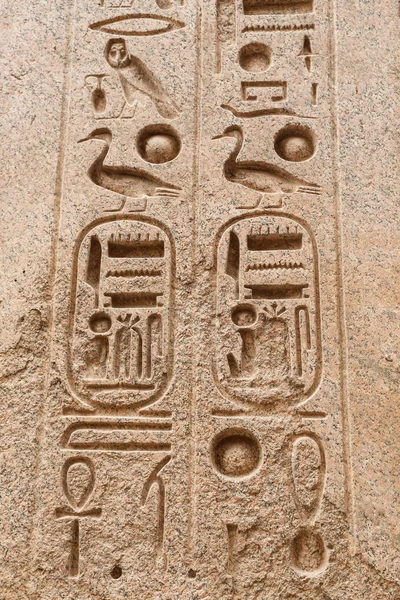 Hieróglifos egípcios em Luxor Temple, Luxor, Egito — Fotografia de Stock