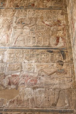Luxor Tapınağı'ndaki Mısır Hiyeroglifleri, Luxor, Mısır