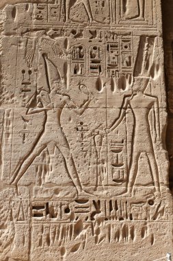 Medinet Habu Tapınağı'ndaki Mısır Hiyeroglifleri, Luxor, Mısır