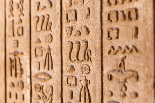 Jeroglíficos en el Templo de Denderah, Qena, Egipto — Foto de Stock