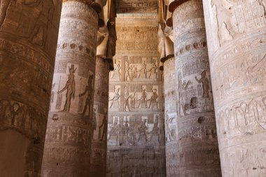 Denderah Tapınağı sahnesi, Qena, Mısır