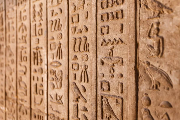 Hieroglyphen im Denderah-Tempel, Qena, Ägypten — Stockfoto