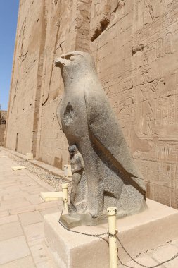 Edfu Tapınağı 'nda Horus heykeli, Edfu, Mısır
