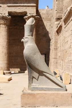 Edfu Tapınağı 'nda Horus heykeli, Edfu, Mısır