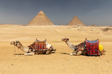 Giza Pyramid Complex, Kahire, Mısır